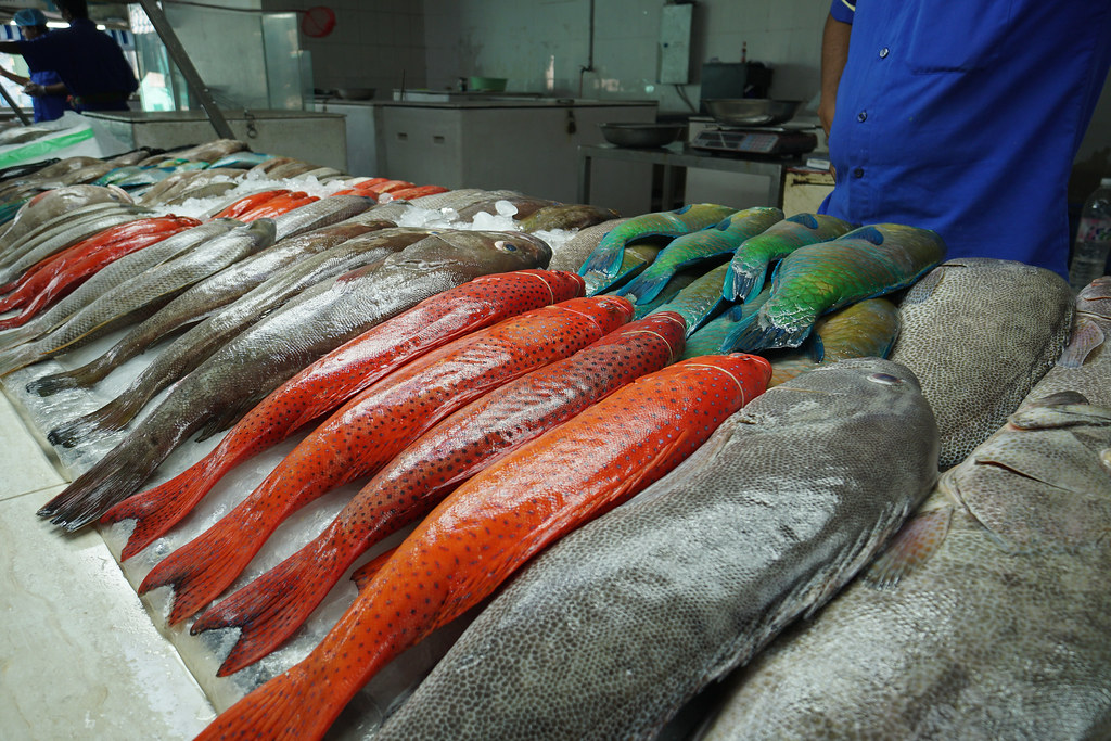 52710397162 05006e186a b 52710397162 05006e186a b