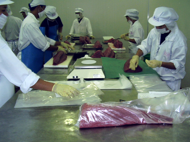 6307768141 8856739296 z 6307768141 8856739296 z